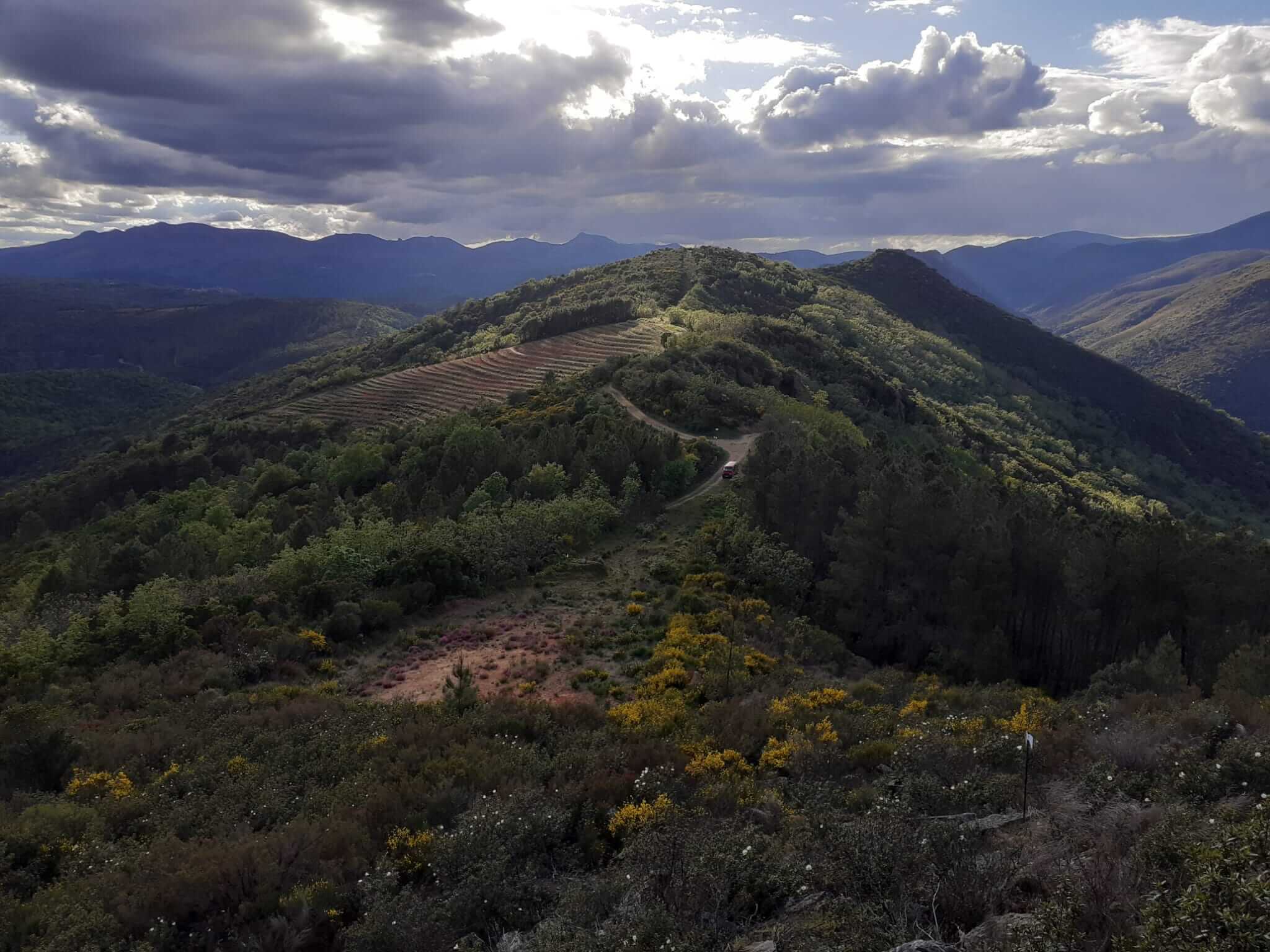 mirador_bodega_el_-rochal-1